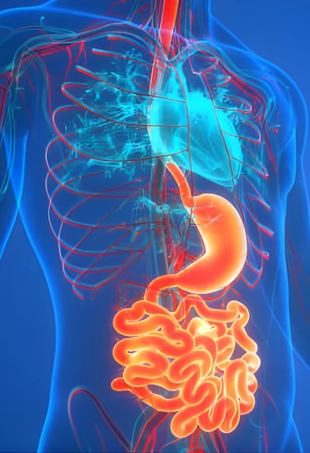 Stomach Cancer Treatment