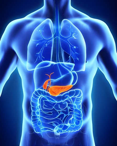 Gall Bladder Treatment