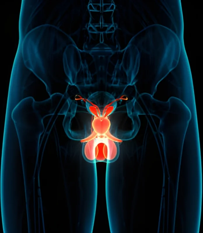 Prostate Cancer