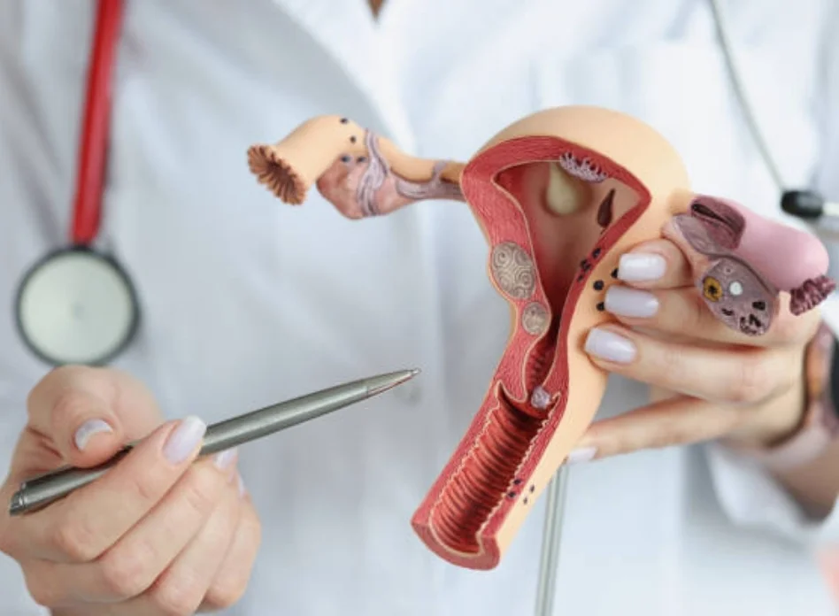 Gynecological cancers (uterus, ovary, cervix)